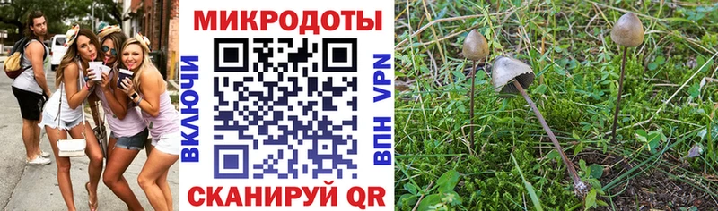 Галлюциногенные грибы Psilocybine cubensis  Купить закладки  Лобня 